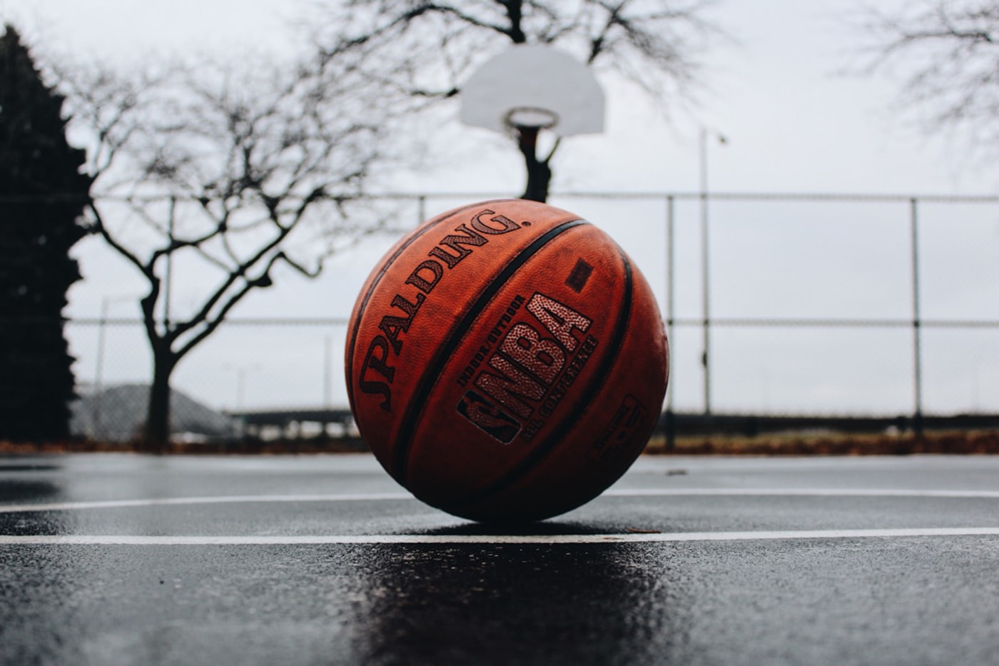 Instagram · @evolvebasketballtrainingcenter